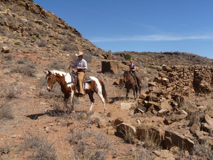 Southwest Working and Guest Ranch New Mexico
