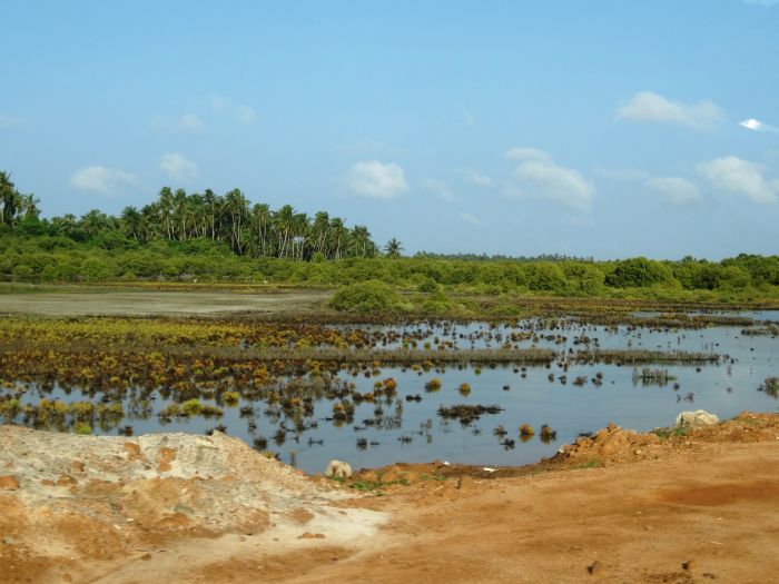Dschungel Reitsafari Sri Lanka