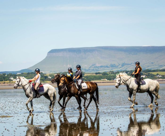 Englisch Lernen Und Reiten Fur Jugendliche Qualifizierter Unterricht Und Gut Ausgebildete Pferde Nahe Sligo