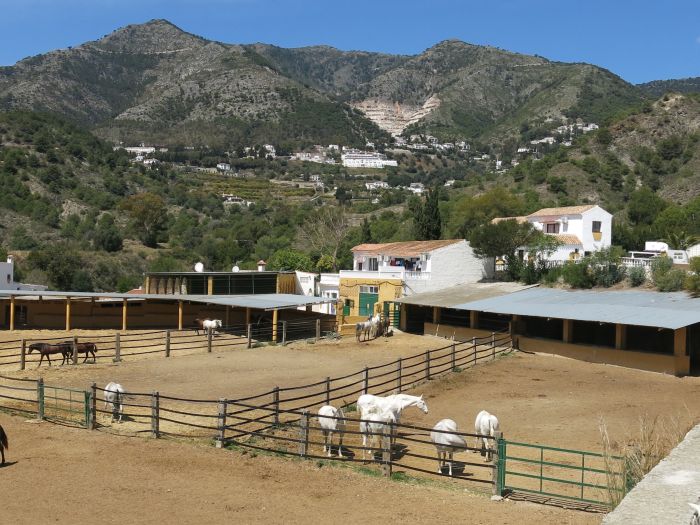 Rancho La Paz - Andalusiergestüt
