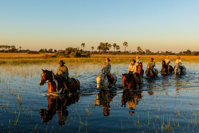 Best of Botswana - Kombi-Reitsafari Tuli und Okavango
