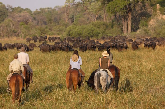 Pferdesafari Okavango Delta, Botswana