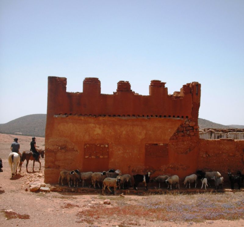 Berber Oasen & Küsten Ritt