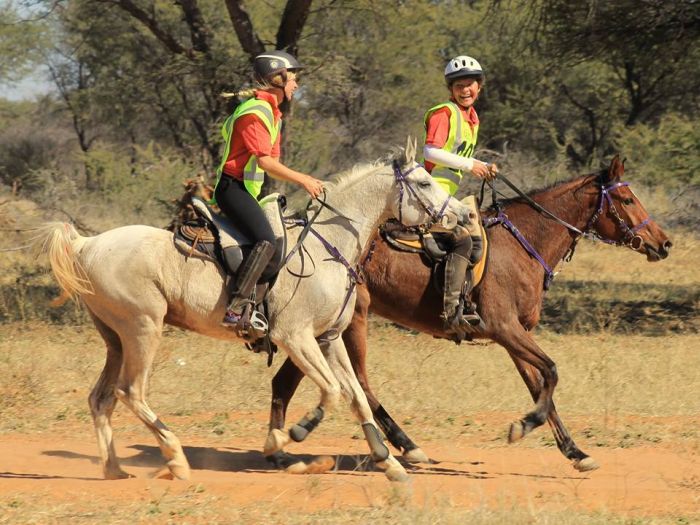Araber Pferde Safaris in Namibia