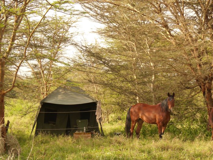 Süd - Amboseli Reitsafari