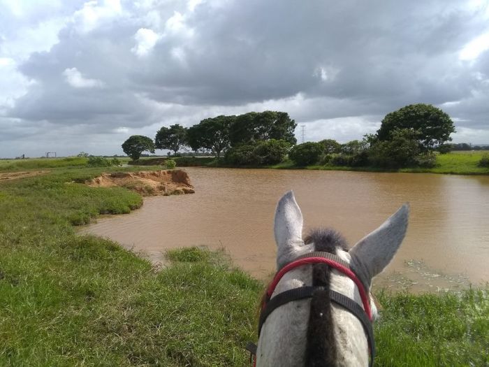 Orinoco Reitsafari