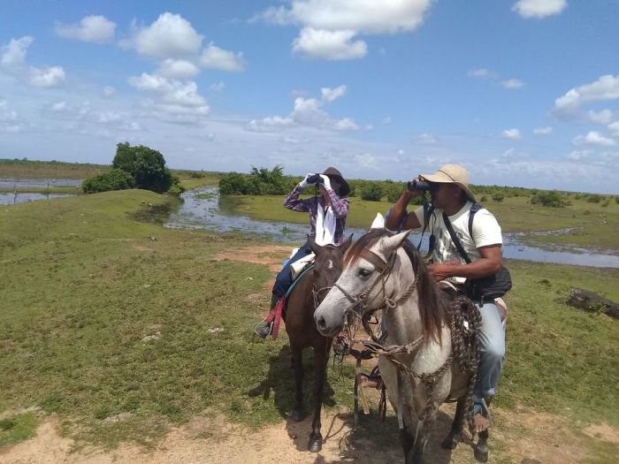 Orinoco Reitsafari