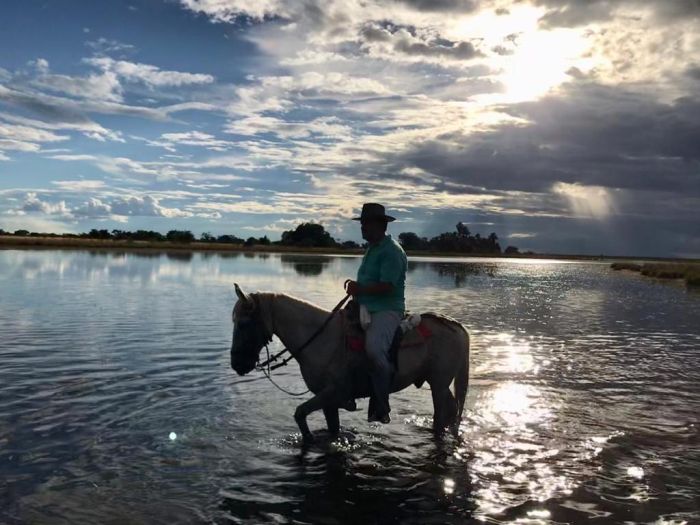 Orinoco Reitsafari