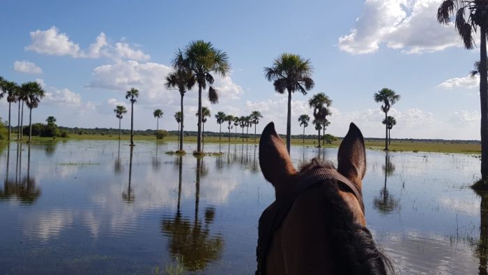 Orinoco Reitsafari