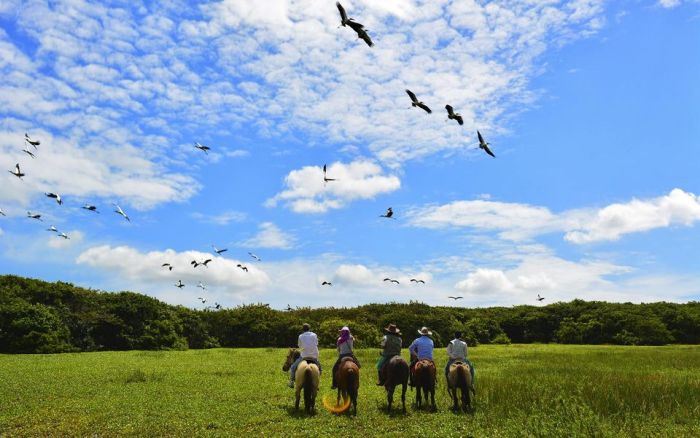 Orinoco Reitsafari