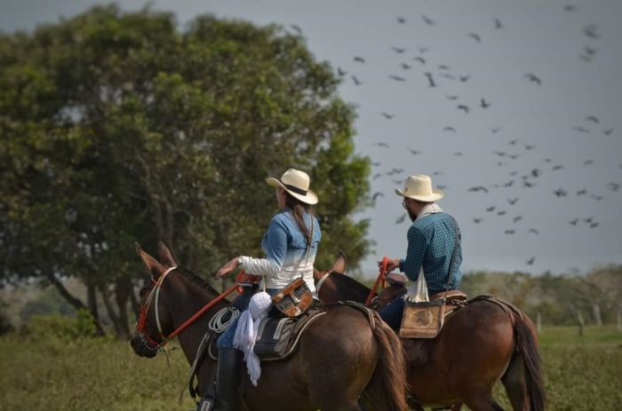 Orinoco Reitsafari