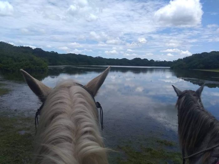 Orinoco Reitsafari