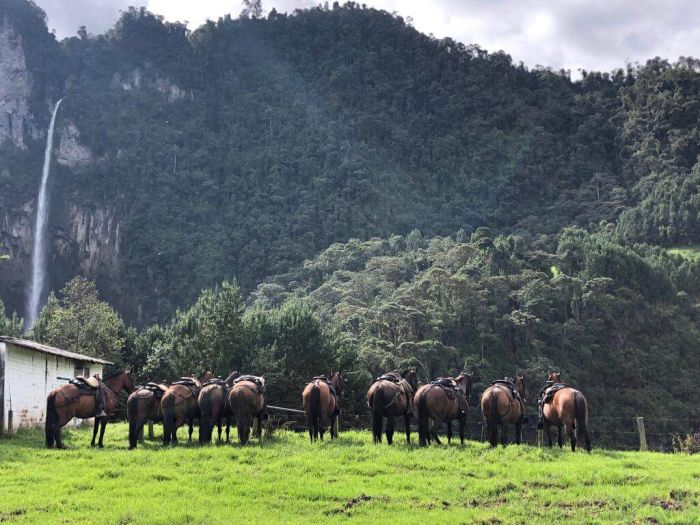 Orinoco Reitsafari