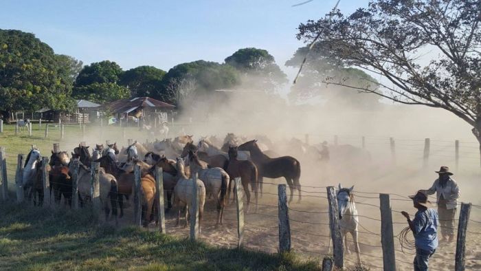 Orinoco Reitsafari