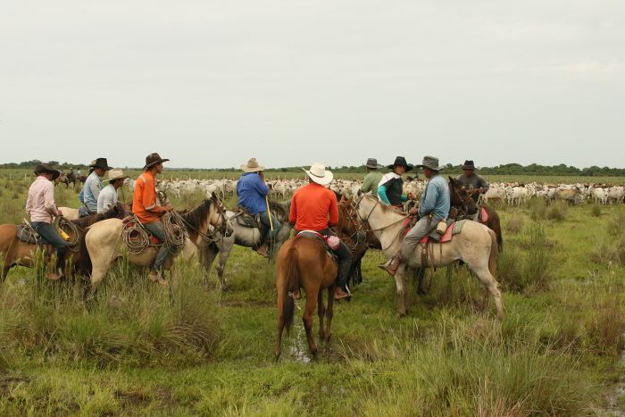 Orinoco Reitsafari