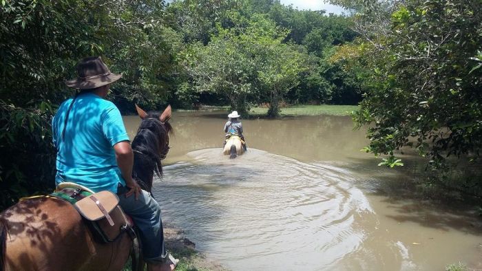 Orinoco Reitsafari