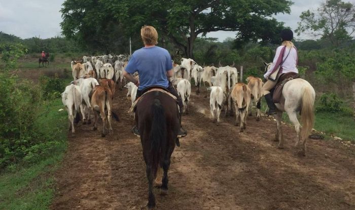 Orinoco Reitsafari