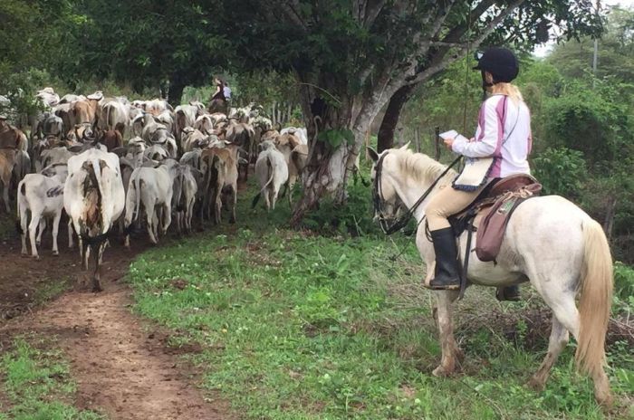 Orinoco Reitsafari