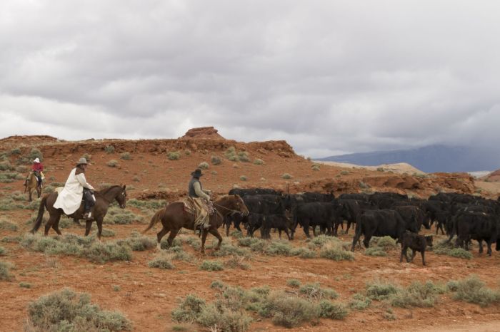 Dryhead Ranch Cattle Drives