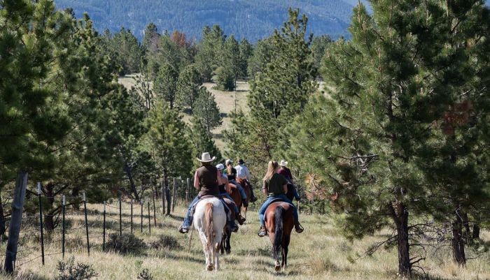 Little Belt Moutnain Ranch