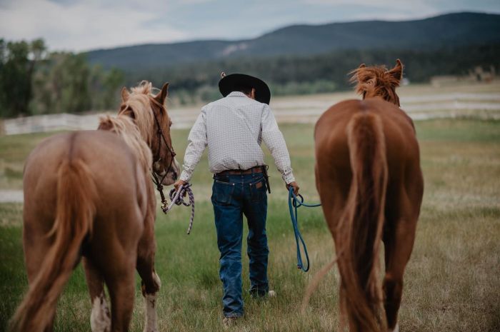 Little Belt Moutnain Ranch