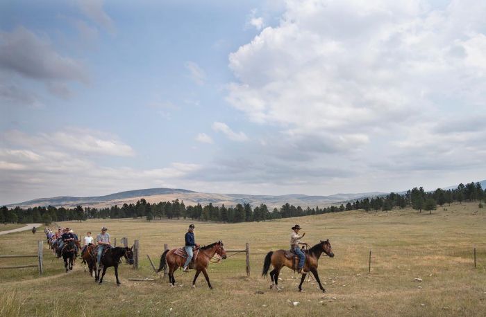 Little Belt Moutnain Ranch