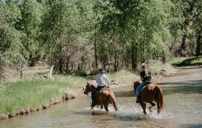 Little Belt Moutnain Ranch