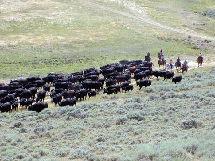 Bighorn Mountain Ranch