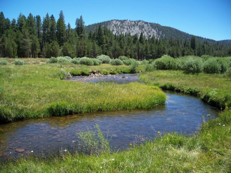 High Sierras Packpferde-Touren