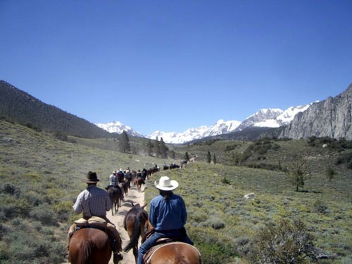 High Sierras Packpferde-Touren