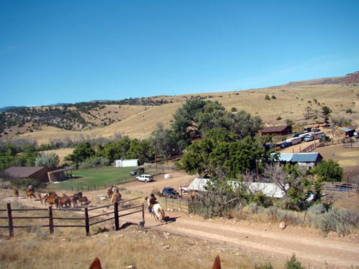 Dryhead Working Ranch