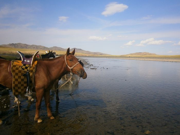 Zentrale Mongolei und Steppen der Nomaden