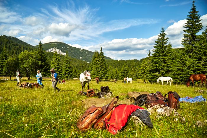 Siebenbürgen & Hasmas Nationalparkritt