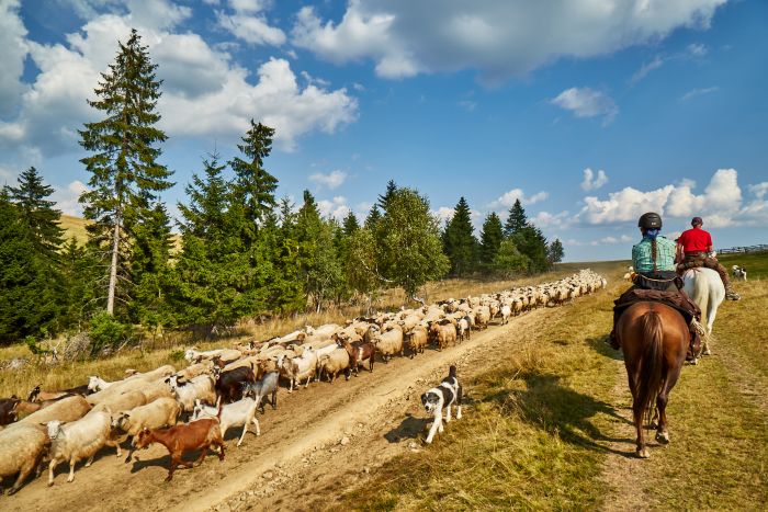 Siebenbürgen & Hasmas Nationalparkritt