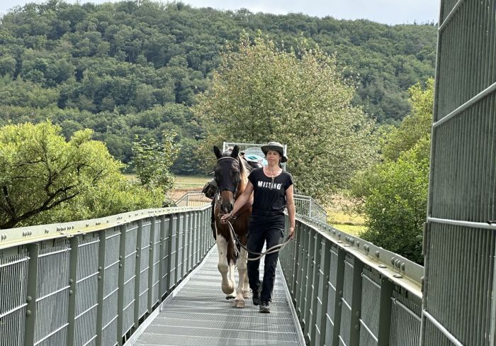 Traumritte im Hunsrück und Nordpfalz