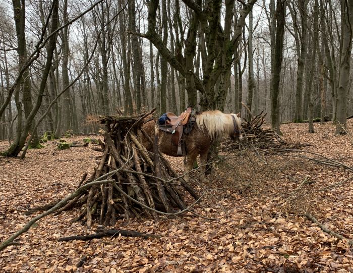 Traumritte im Hunsrück und Nordpfalz