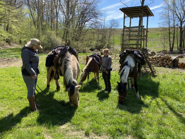 Traumritte im Hunsrück und Nordpfalz