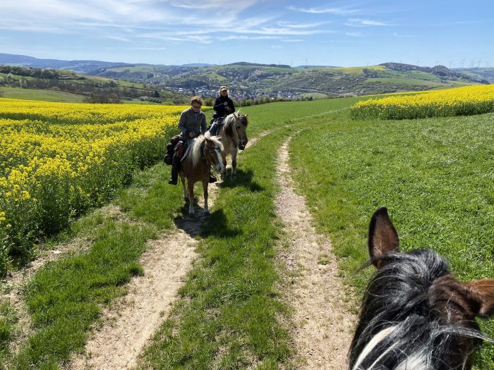 Traumritte im Hunsrück und Nordpfalz