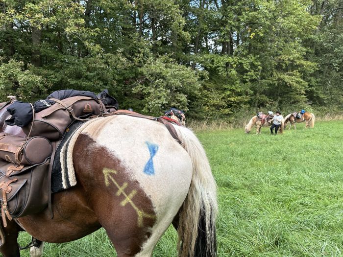 Traumritte im Hunsrück und Nordpfalz