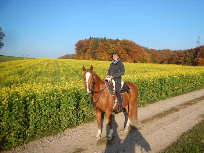 Traumritte im Hunsrück und Nordpfalz