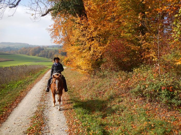 Traumritte im Hunsrück und Nordpfalz