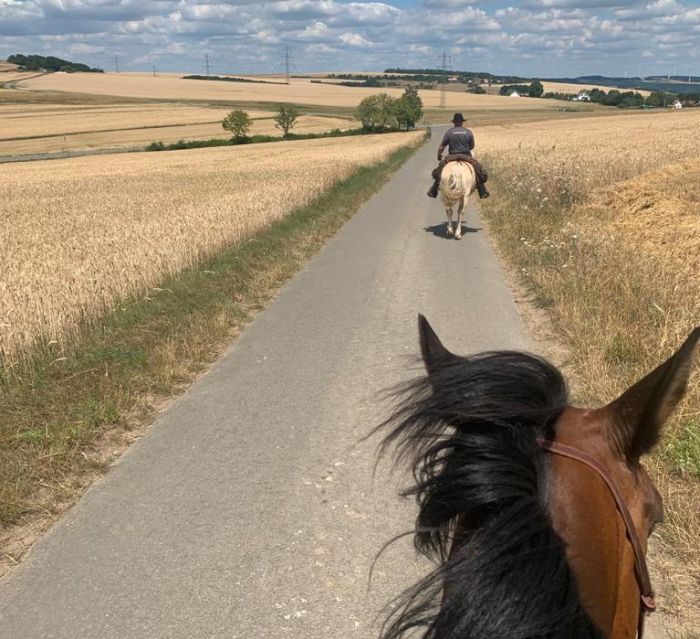 Traumritte im Hunsrück und Nordpfalz