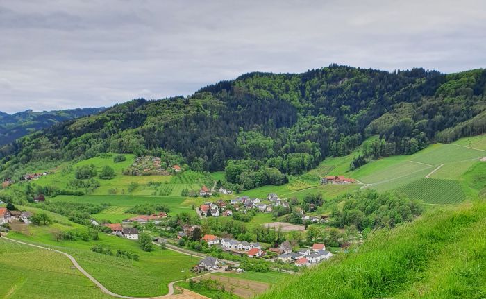 Zwischen Rebland & Schwarzwald