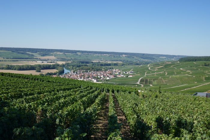 Prickelnder Ritt durch die Champagne