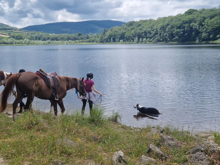 Morvan im Galopp & Morvan Seen Ritt