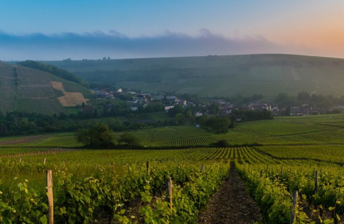 Sancerre Whisky & Wein Trail