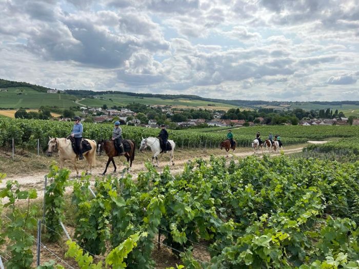 Sancerre Whisky & Wein Trail