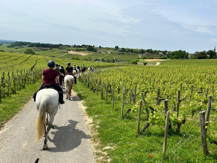 Sancerre Whisky & Wein Trail