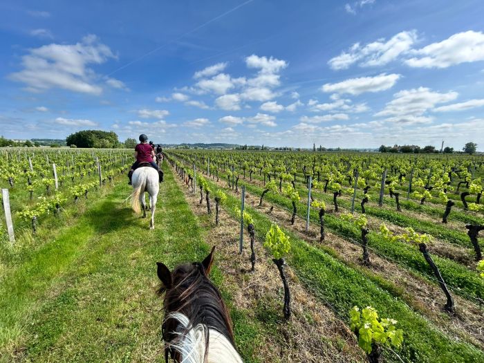 Sancerre Whisky & Wein Trail