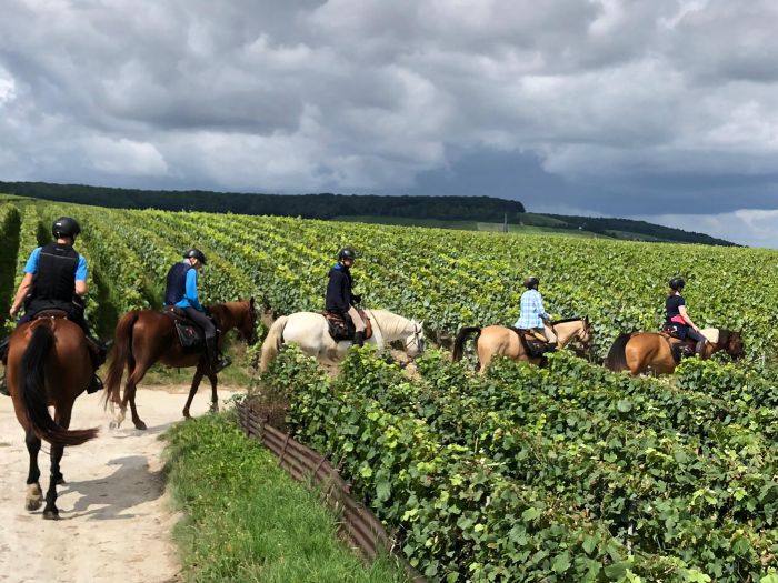 Sancerre Whisky & Wein Trail